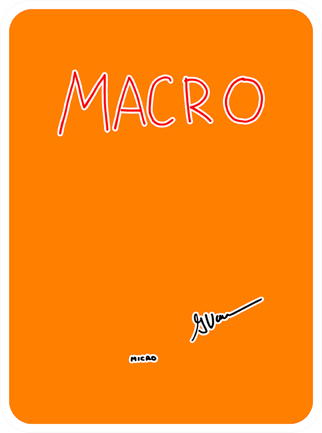 Macro Micro