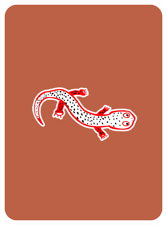 Sentimental Salamander
